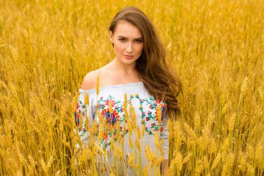 Altın buğday alan arka plan üzerinde genç kadın