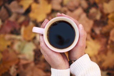 sonbahar yaprakları bir arka plan üzerinde siyah kahve