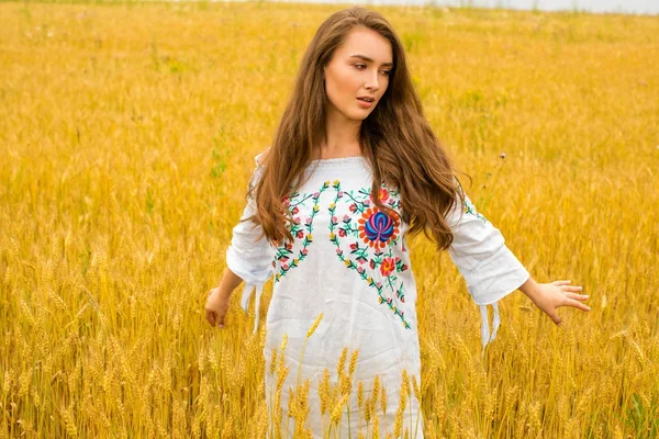 Young woman on a background of golden wheat field — Stock Photo, Image