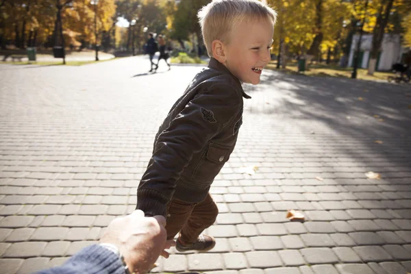 Follow me, Beautiful little boy holds the hand of a father — Stock Photo, Image