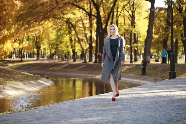 Portrett av en ung, vakker kvinne i grå frakk – stockfoto