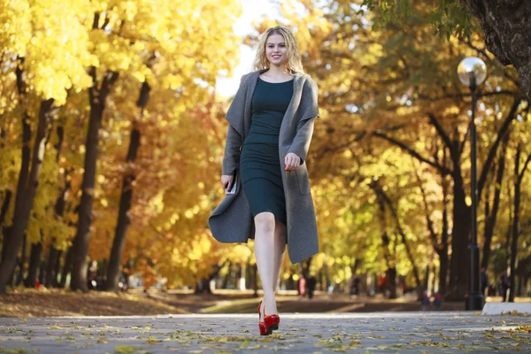 Porträt einer jungen schönen Frau im grauen Mantel — Stockfoto