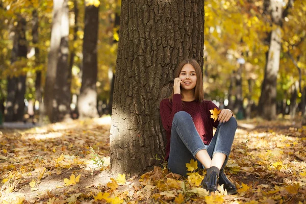 Νεαρή γυναίκα σε ένα πουλόβερ και μπλε τζιν κάθεται σε ένα Φθινοπωρινό πάρκο — Φωτογραφία Αρχείου