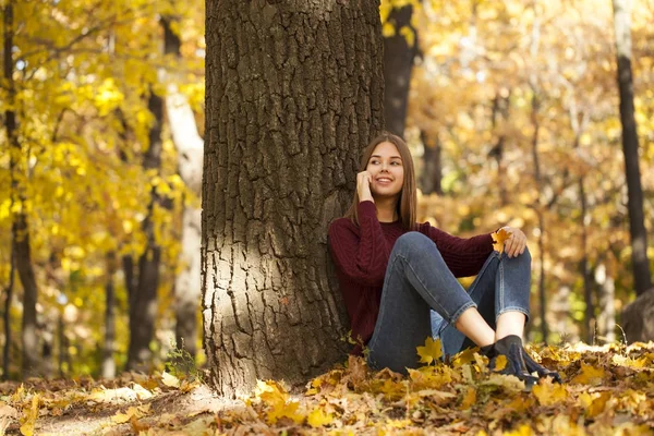 Genç kadın bir kazak ve mavi jeans sonbahar bir parkta oturuyor
