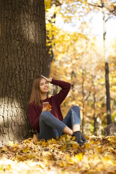 Молодая женщина в свитере и синих джинсах сидит в осеннем парке — стоковое фото