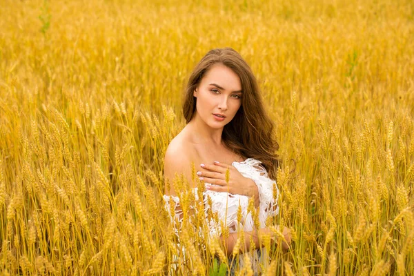 Portrait of a young girl on a background of golden wheat field — Stock Photo, Image