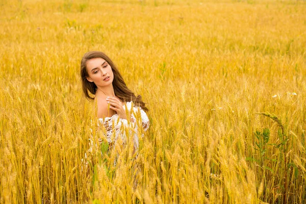 Retrato de una joven sobre un fondo de campo de trigo dorado — Foto de Stock