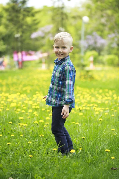 Porträtt av en ung blond pojke — Stockfoto