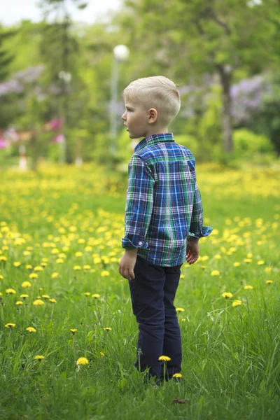 Portrait of a young blonde boy — Stock Photo, Image