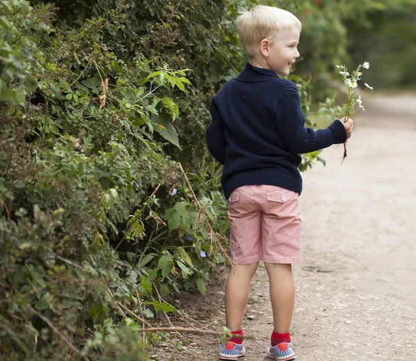 Portrait of a young blonde boy — Stock Photo, Image