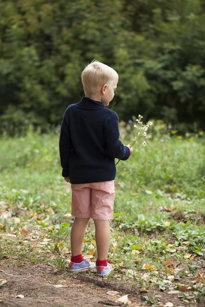 Porträt eines jungen blonden Jungen — Stockfoto