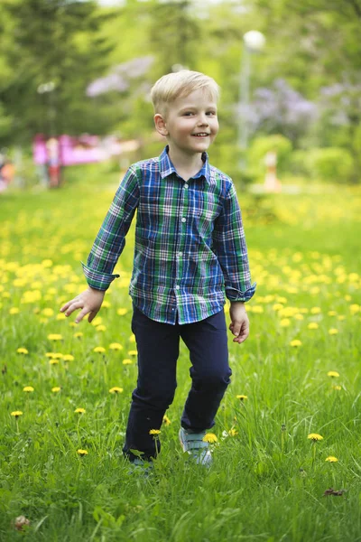 Portrait of a young blonde boy — Stock Photo, Image