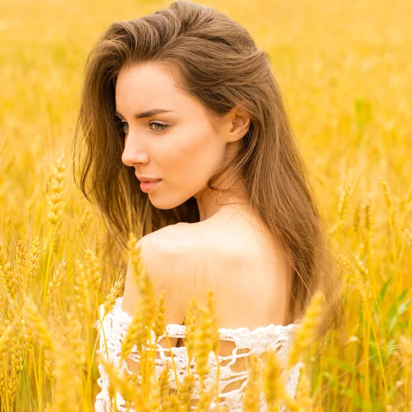 Brunette woman on wheat field — Stock Photo, Image