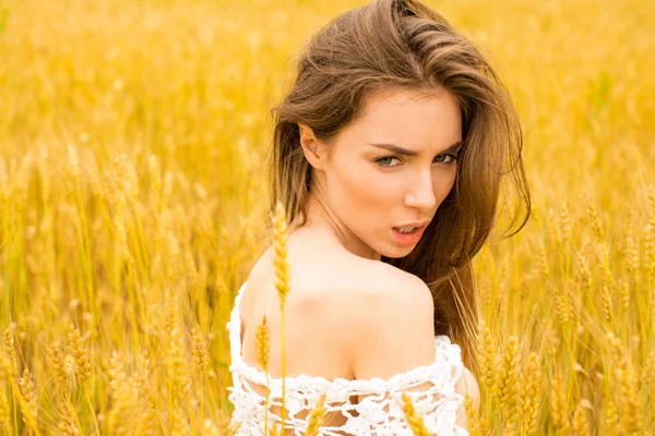 Brunette woman on wheat field — Stock Photo, Image