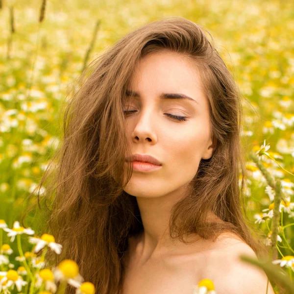 Photo of pretty brunette woman in chamomile field