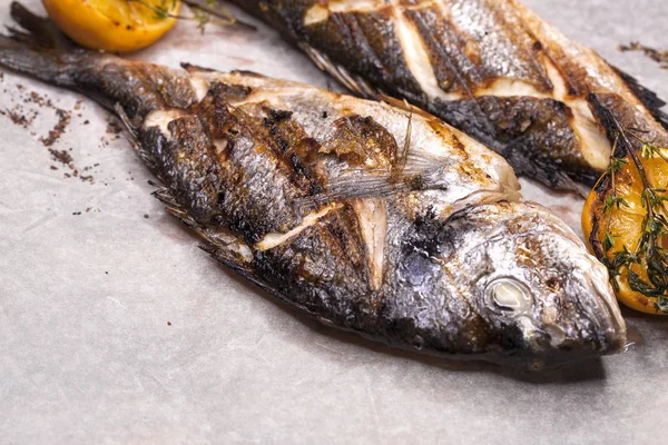 Το εστιατόριο πιάτο δύο ψάρια στη σχάρα, κυνηγούς και λαβράκια — Φωτογραφία Αρχείου