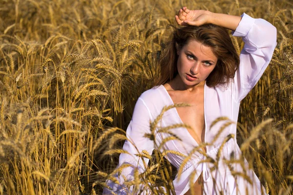 Mulher morena no campo de trigo — Fotografia de Stock