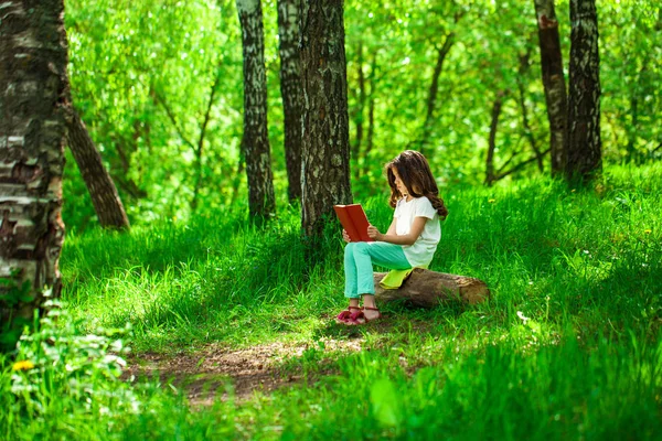 Charmante petite fille dans la forêt avec livre assis sur souche d'arbre — Photo