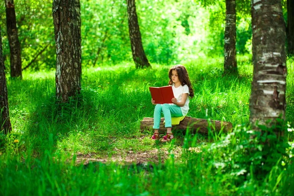 Charming little girl in forest with book sitting on tree stump — Stock Photo, Image