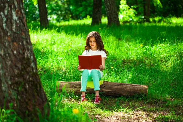 Encantadora niña en el bosque con libro sentado en el tocón del árbol — Foto de Stock