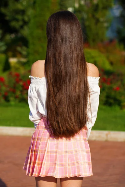 Tampilan belakang rambut cokelat perempuan — Stok Foto