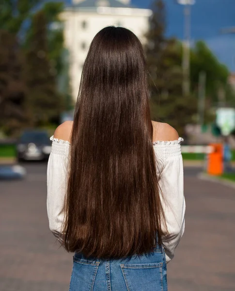 Achteraanzicht vrouwelijk brunette haar — Stockfoto