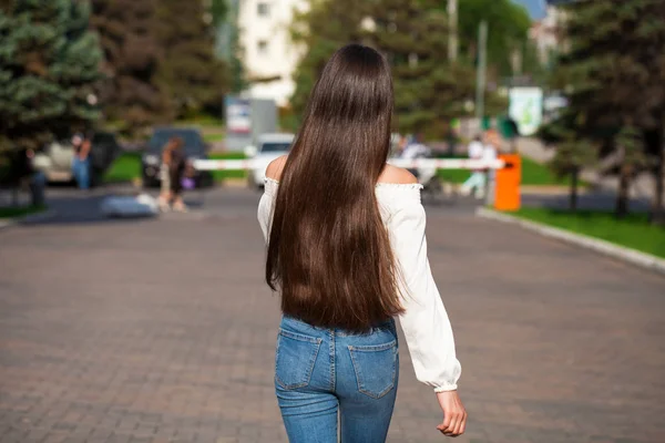 Achteraanzicht vrouwelijk brunette haar — Stockfoto