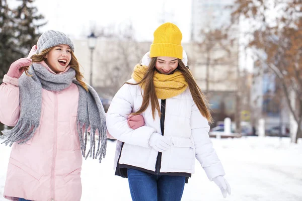 Ritratto ravvicinato di due ragazze che passeggiano in un parco invernale — Foto Stock