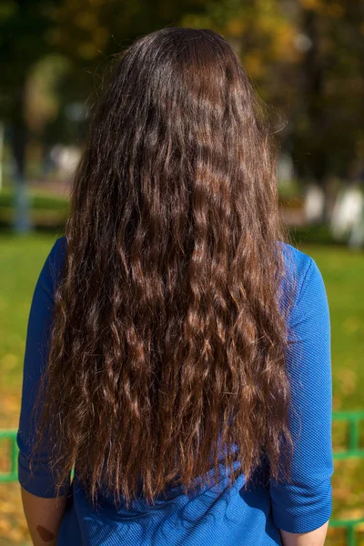 Vrouwelijk brunette haar, achteruitkijk, zomerpark — Stockfoto