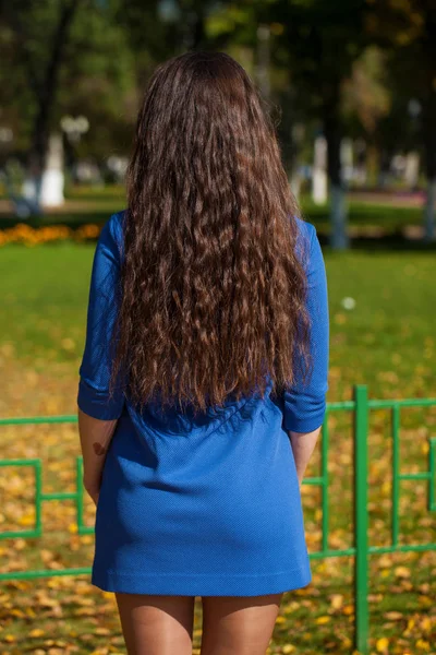 Pelo morena femenina, vista trasera, parque de verano —  Fotos de Stock