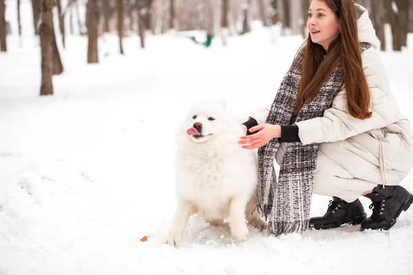 Young beautiful woman with a dog walks in a winter park — Stock Photo, Image