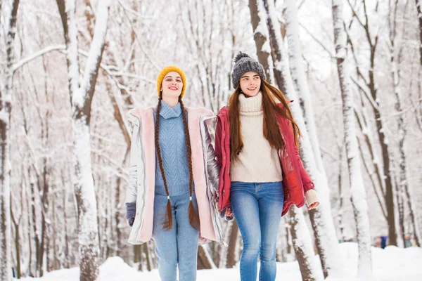 Due belle ragazze felici passeggiano in inverno in una città par — Foto Stock