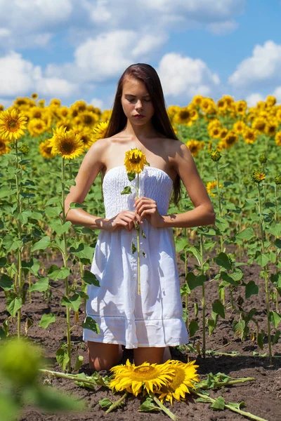 Ayçiçeği tarlasında genç ve güzel bir kızın portresi — Stok fotoğraf