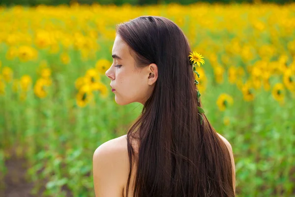 Portrait of a young beautiful girl in a field of sunflowers — Stock Photo, Image