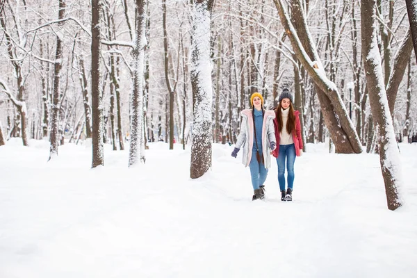 Portrét dvě mladé krásné ženy procházky v zimním parku — Stock fotografie