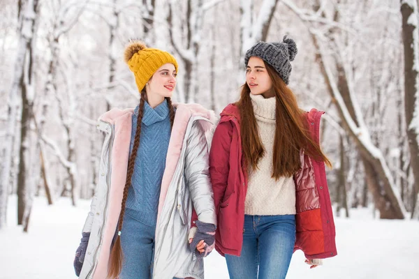 Duas belas namoradas felizes caminham no inverno em uma cidade par — Fotografia de Stock