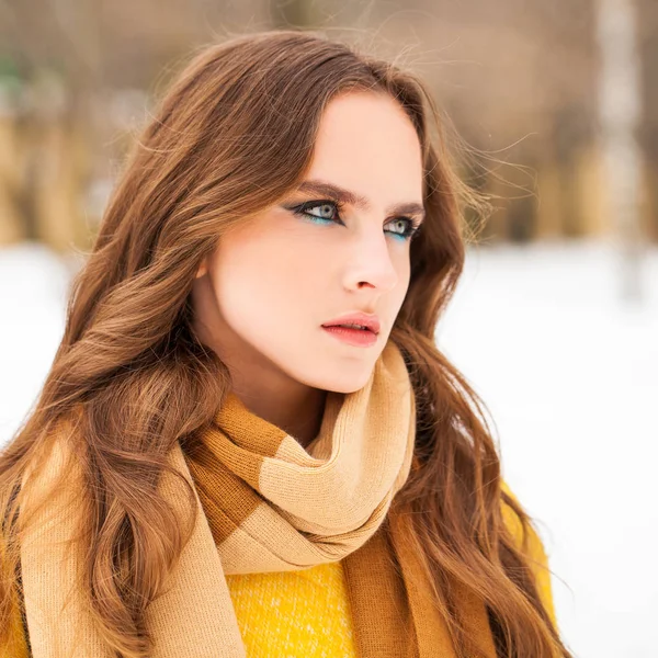 Compõe a beleza. Retrato de uma jovem mulher bonita no inverno pa — Fotografia de Stock