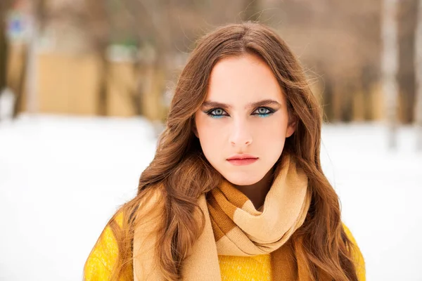 Make-up Schönheit. Porträt einer jungen schönen Frau im Winter pa — Stockfoto