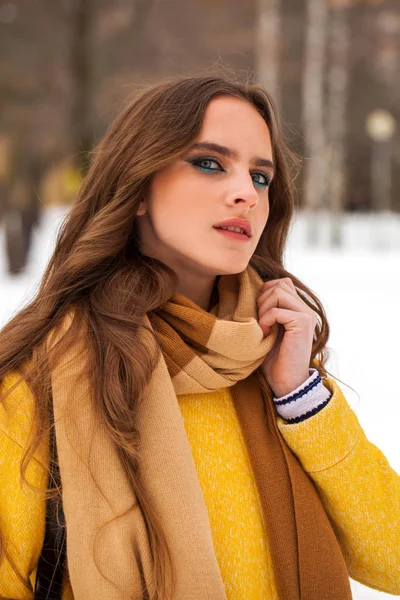 Maquillaje de belleza. Retrato de una joven hermosa mujer en invierno pa —  Fotos de Stock