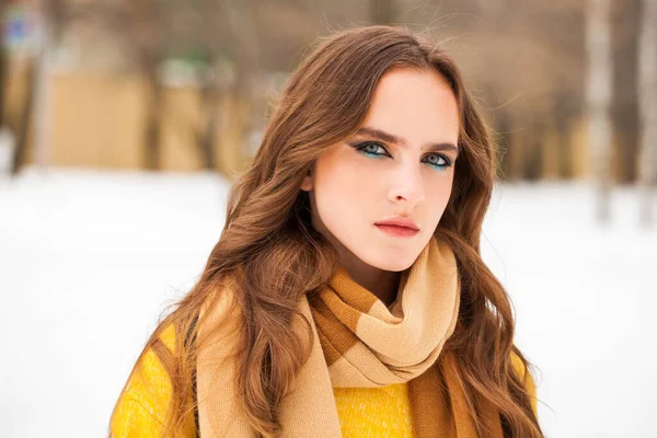 Make up beauty. Portrait of a young beautiful woman in winter pa — Stock Photo, Image