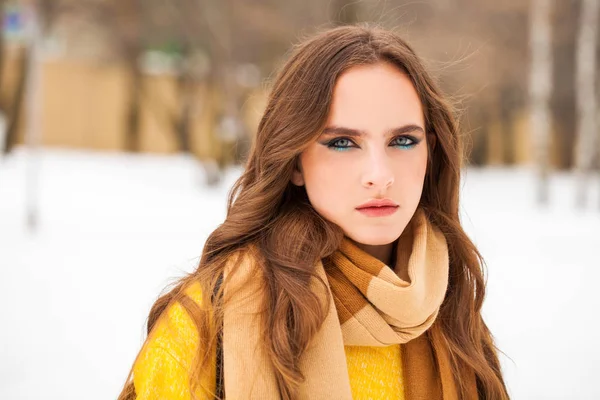 Make-up Schönheit. Porträt einer jungen schönen Frau im Winter pa — Stockfoto