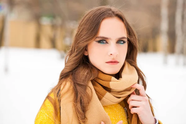 Make-up Schönheit. Porträt einer jungen schönen Frau im Winter pa — Stockfoto