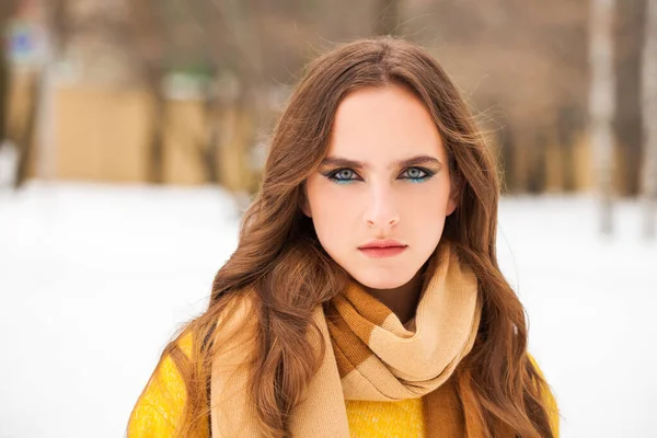 Make-up Schönheit. Porträt einer jungen schönen Frau im Winter pa — Stockfoto