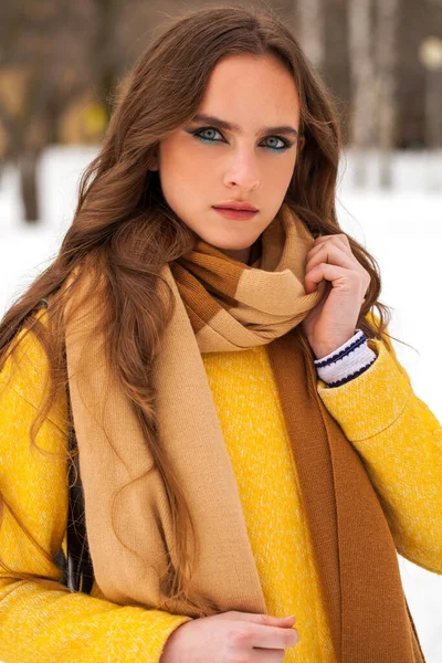 Maquillaje de belleza. Retrato de una joven hermosa mujer en invierno pa — Foto de Stock