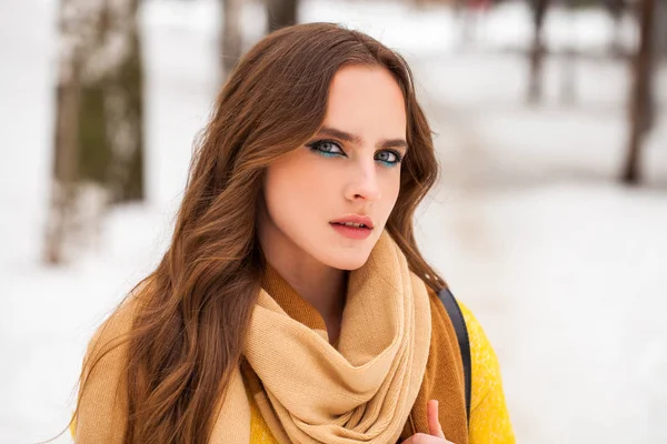 Maquille la beauté. Portrait d'une jeune belle femme en hiver pa — Photo