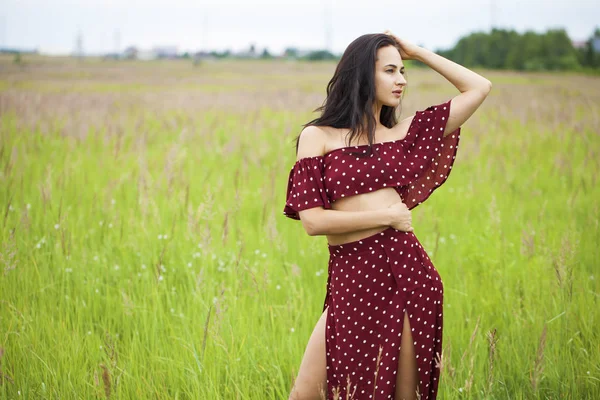 Portret Piękne Kobiety Młody Szczęśliwy Brunetka Brązowy Sukienka Park Lato — Zdjęcie stockowe