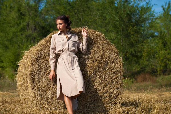 Young Beautiful Brunette Woman Beige Dress Posing Background Haystacks Cut — Stock Photo, Image