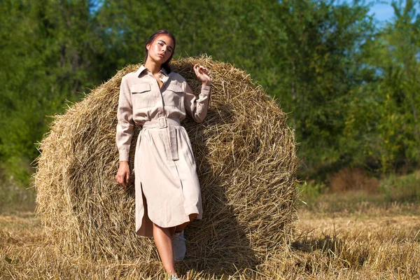 Young Beautiful Brunette Woman Beige Dress Posing Background Haystacks Cut — Stock Photo, Image