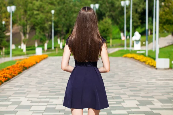 Жіноче Брюнетка Волосся Вид Ззаду Літній Парк — стокове фото