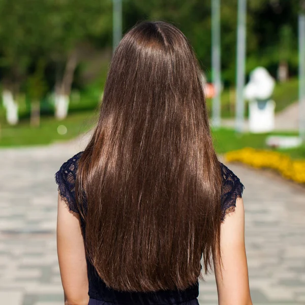 Vrouwelijk Brunette Haar Achteruitkijk Zomerpark — Stockfoto